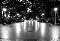 Landscapes