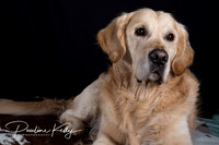 Portraits